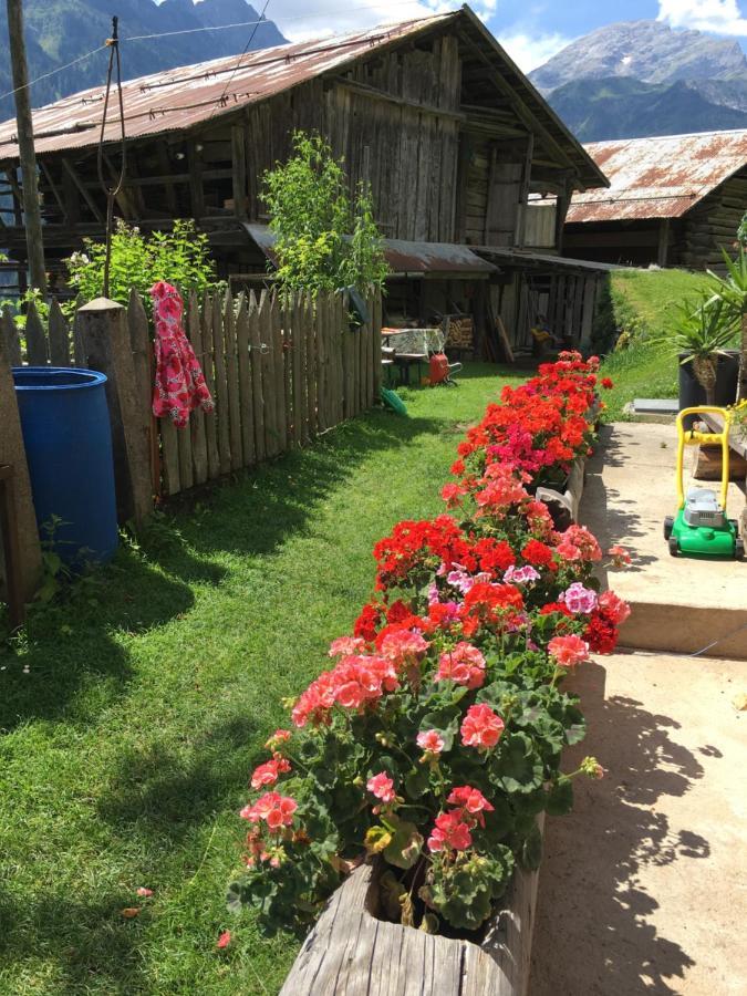 Apartament Casa Soraya Falcade Zewnętrze zdjęcie