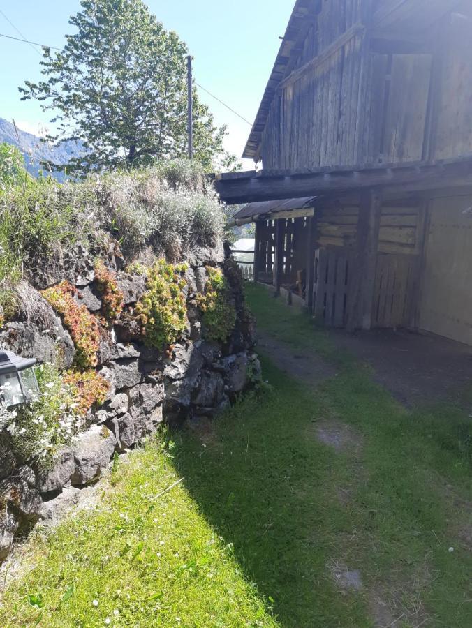 Apartament Casa Soraya Falcade Zewnętrze zdjęcie