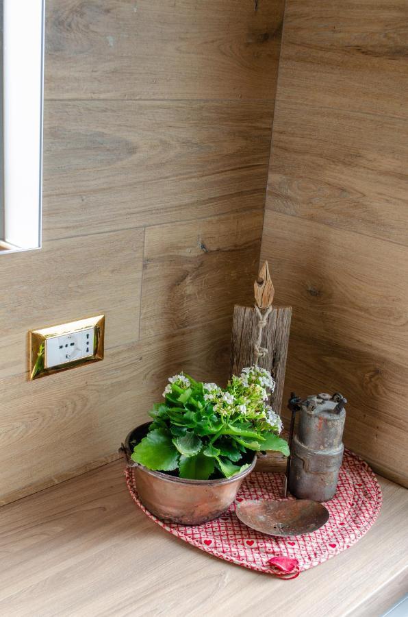 Apartament Casa Soraya Falcade Zewnętrze zdjęcie